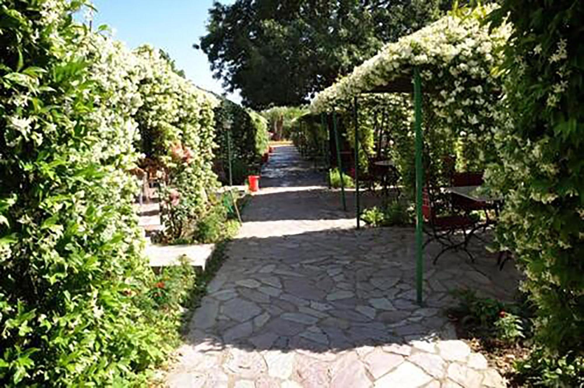 Buna Park Hotel Shkodër Exterior foto